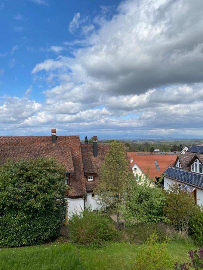 Ferienwohnung Vogesenblick Mullheim  Exterior foto